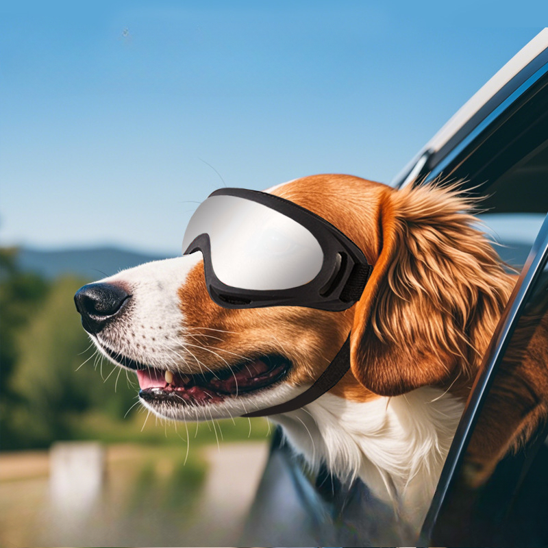 Windproof Dog Glasses Outdoor Pet Goggles for Large Dogs, UV Protection Dog Accessories for Riding, Hiking & Training