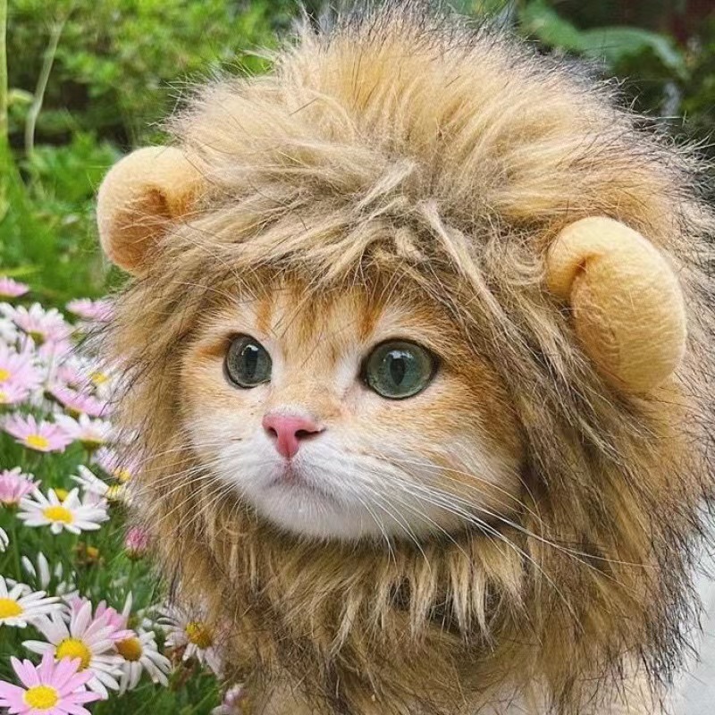 Funny Pets Clothes Hat Cute Cat Wig Lion Mane Costume for Cats & Dogs Cosplay Party Accessories with Ears