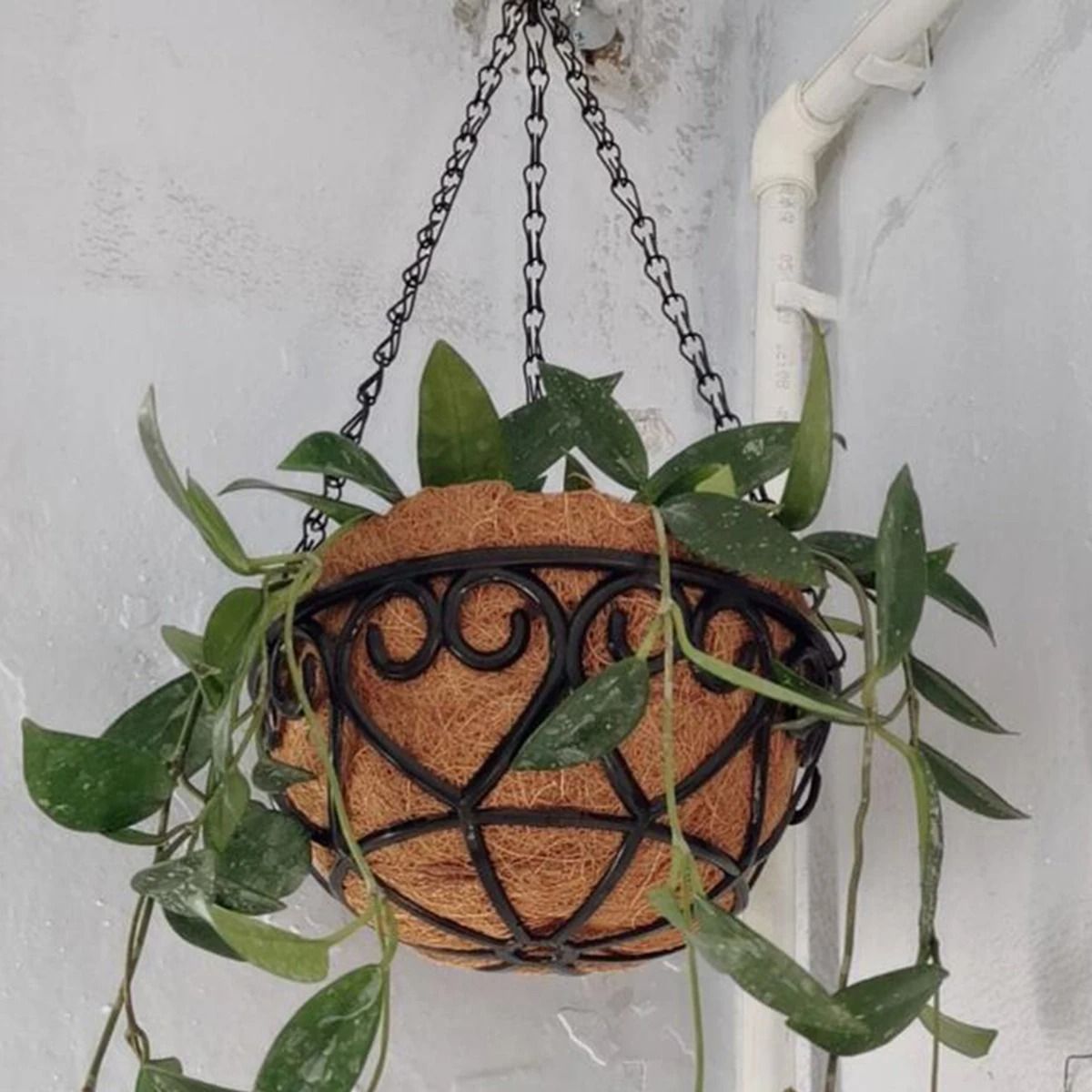 Coconut Fiber Hanging Flower Pot Basket Iron Chain Hanging Plant Basket