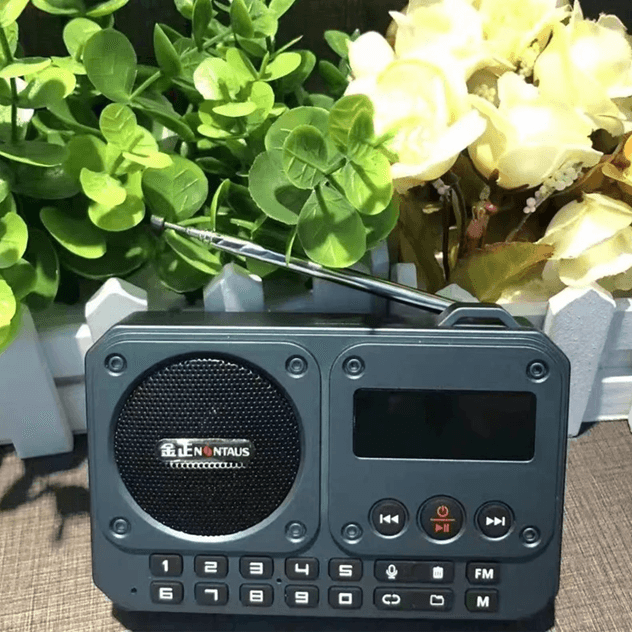 Mini Portable FM Radio with Bluetooth Speaker and TF Card Playback