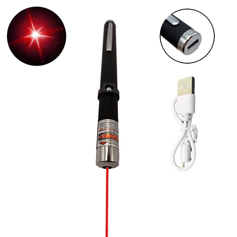2-in-1 Mini Laser Pointer & LED Pet Trainer