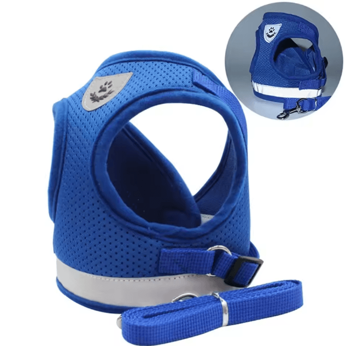 SafePaw Reflective Escape-Proof Cat Harness & Leash Set