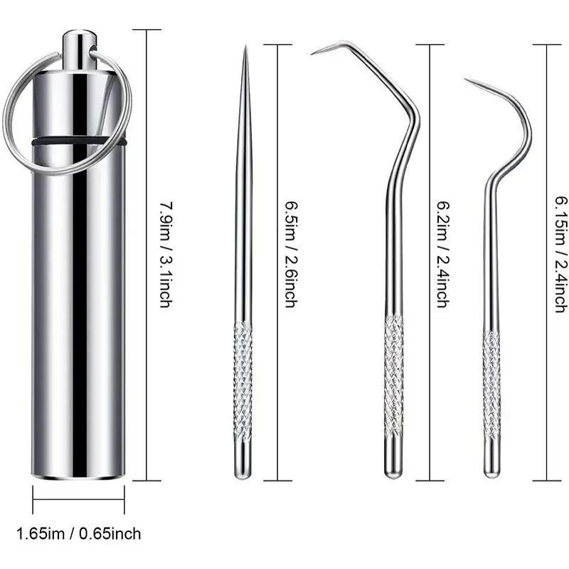 Stainless Steel Reusable Toothpick Set