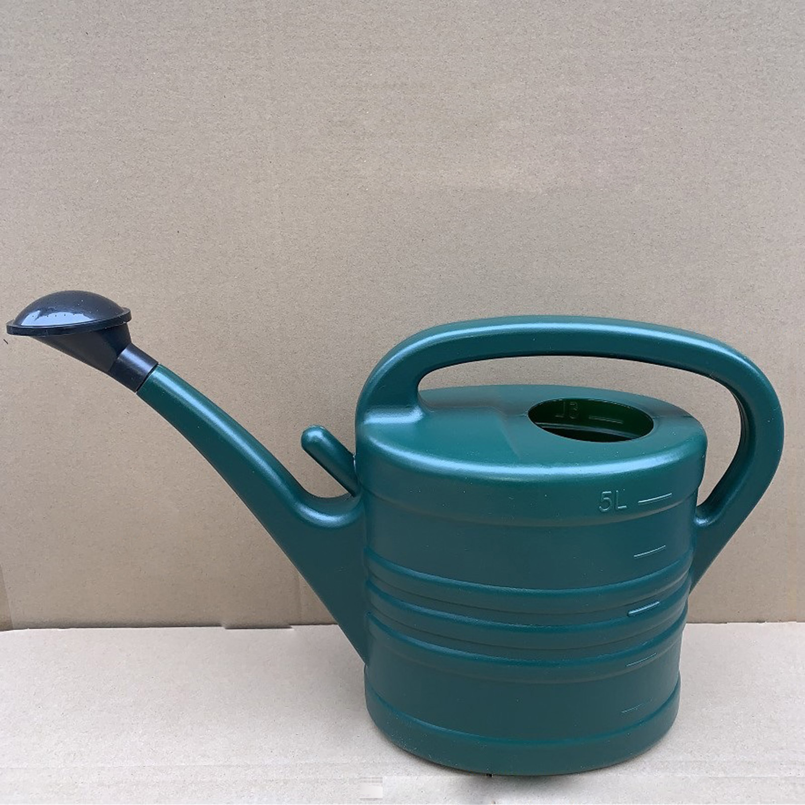 5L Plastic Watering Can, Garden Essential for Indoor & Outdoor Use, Lightweight, Sturdy & Portable Watering Can