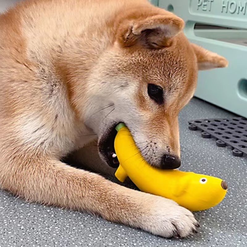 Banana-Shape Squeaky Dog Toy Latex Chew Toy – Bite-Resistant Interactive Pet Toy