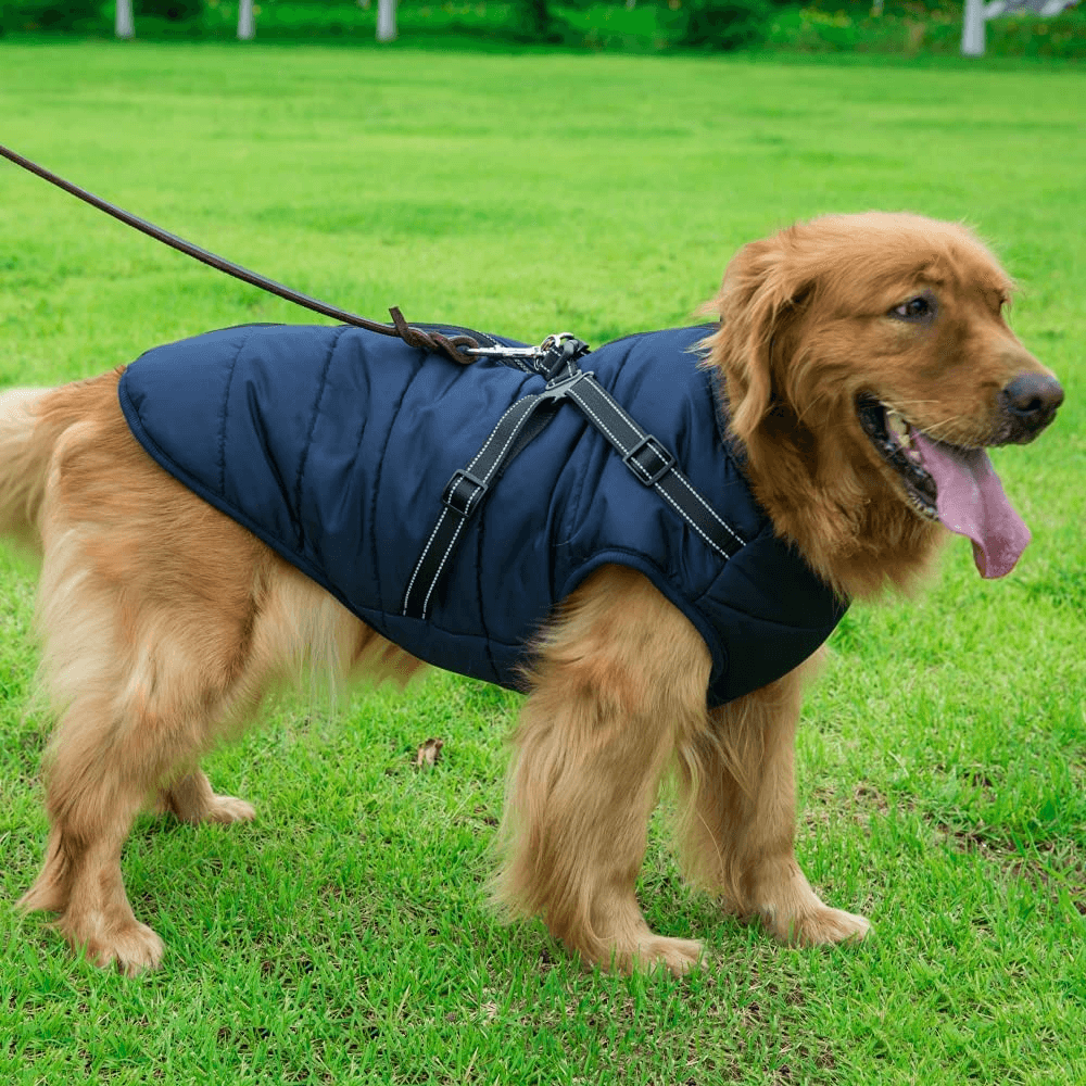 Dog Coat With Zipper on Back