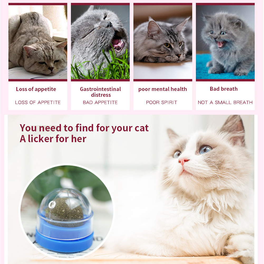Catnip Wall Ball Cat Toys: Clean Teeth, Aid Digestion, Minty Snacks & Fun Accessories