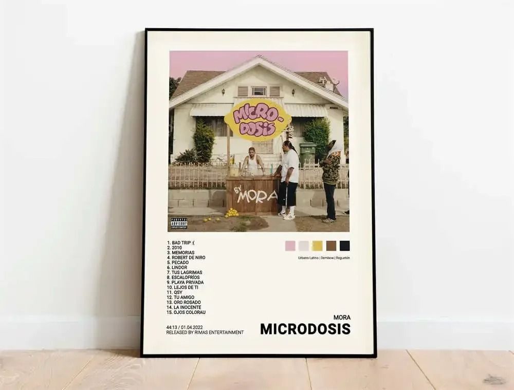 Latin Rap Music Poster Canvas Album Cover Aesthetic Wall Art Print