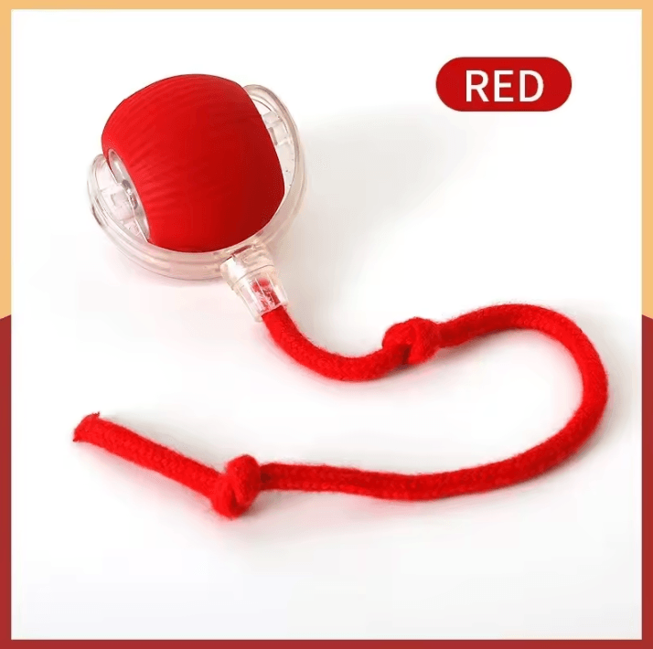 Interactive Rechargeable Rolling Ball Pet Toy – Smart Automatic Cat & Dog Imitation Mouse Toy