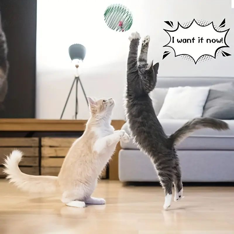Cat Toy Balls: Interactive Kitten Springs & Rolling Toys - Delivery Details