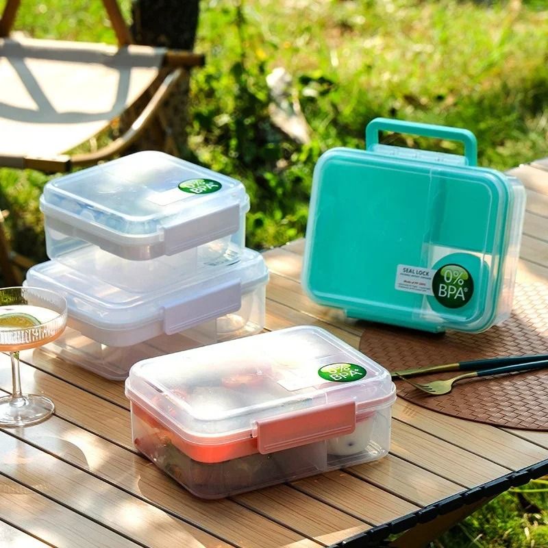 Double Layer Bento Lunch Box With Carry Handle
