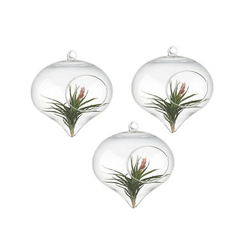 Terrarium Glass Ball Hanging Flower Vase