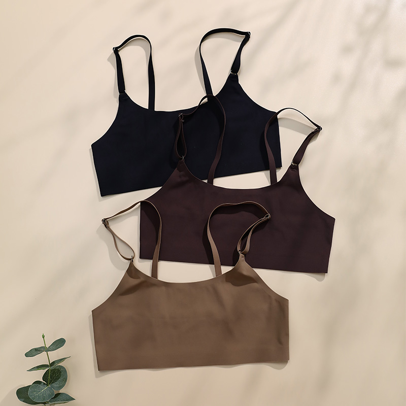Stylish Solid Ice Silk Seamless Wireless Bra Set Comfortable and Elegant Women's Underwear
