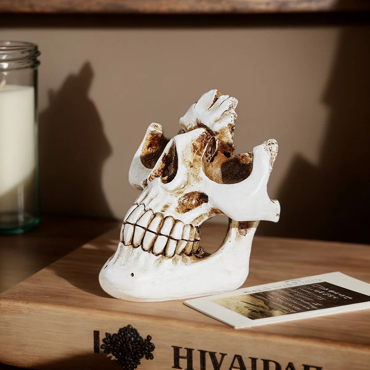 Skull Glasses Holder Stand – Resin Halloween Eyewear Display Decor
