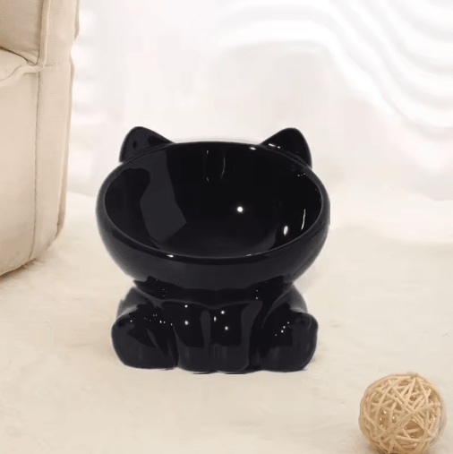 Elevated Tilted Ceramic Cat Bowl – Cute Ergonomic Food & Water Dish