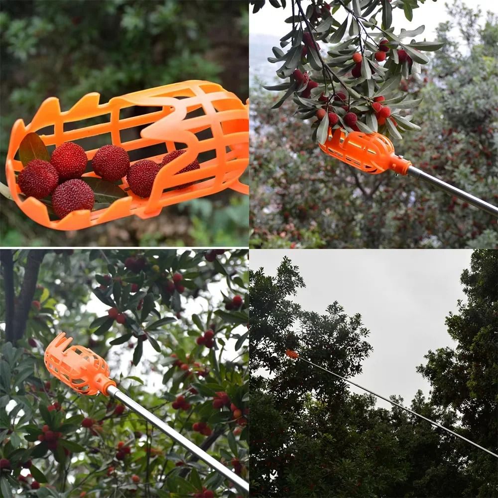 Plastic Fruit Picker Catcher – Handheld Garden Harvesting Tool for Apples, Pears, and Peaches