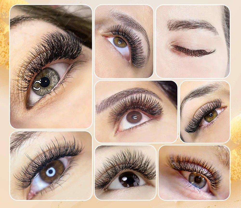 Multi Dimensional Premium W Shaped Lash Series