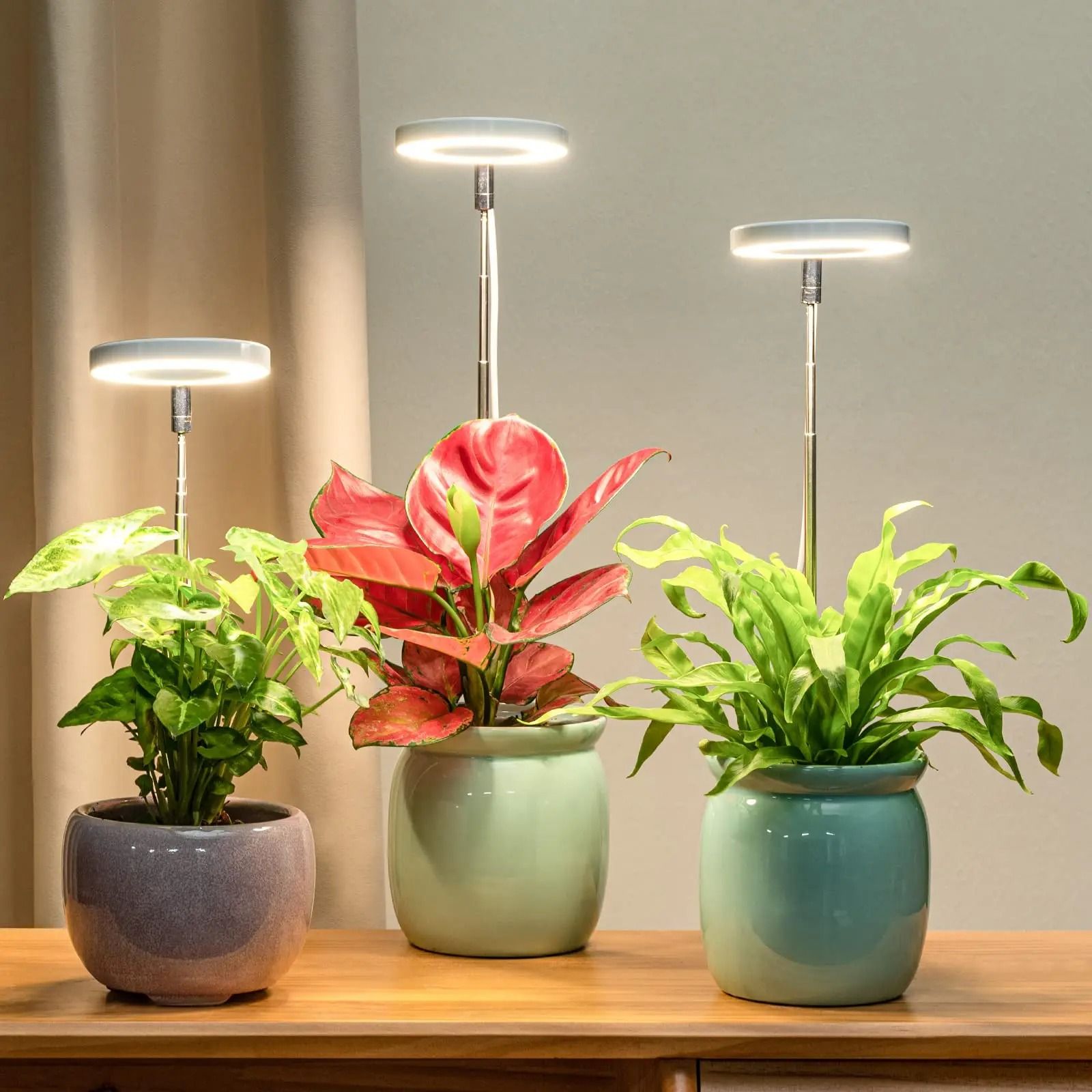 Full Spectrum LED Grow Light with Timer and Adjustable Height for Indoor Plants