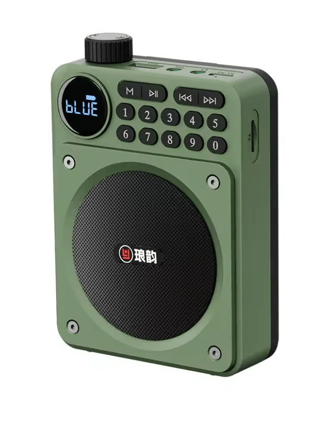 Mini Digital FM Radio Bluetooth Speaker with USB TF Card Display