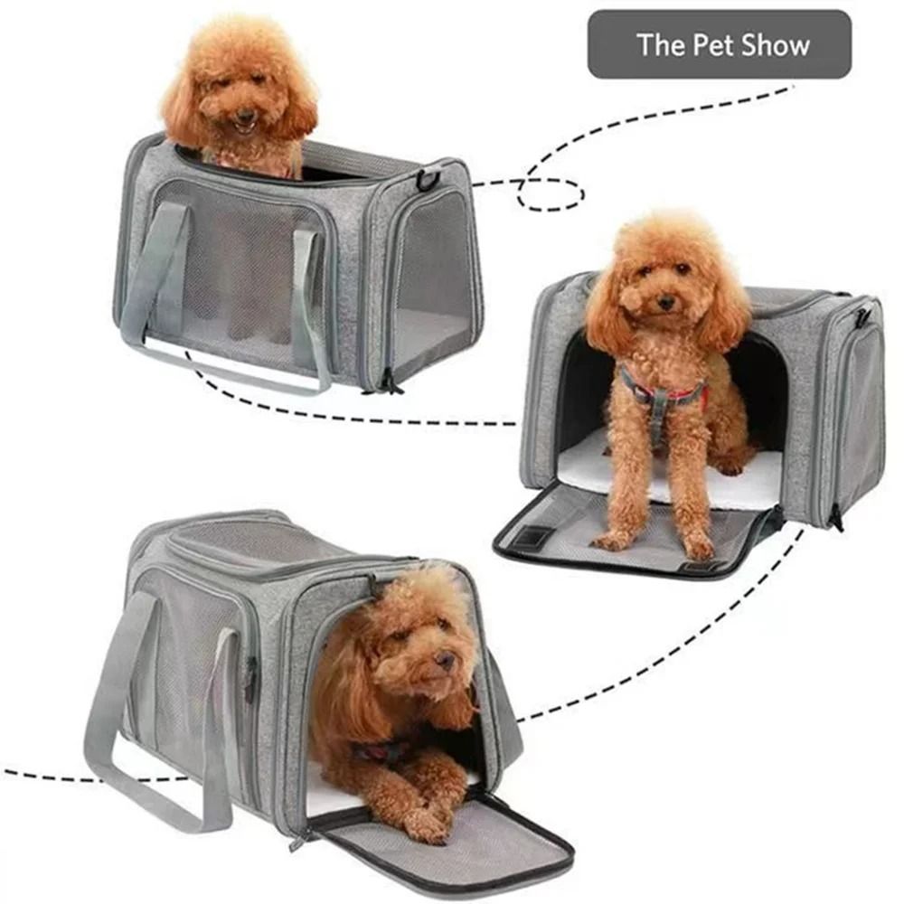 Foldable Waterproof Travel Pet Carrier