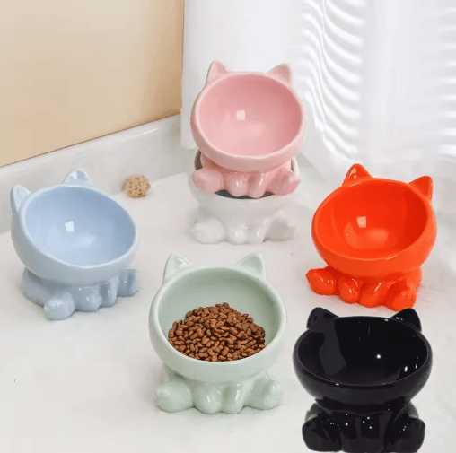 Elevated Tilted Ceramic Cat Bowl – Cute Ergonomic Food & Water Dish