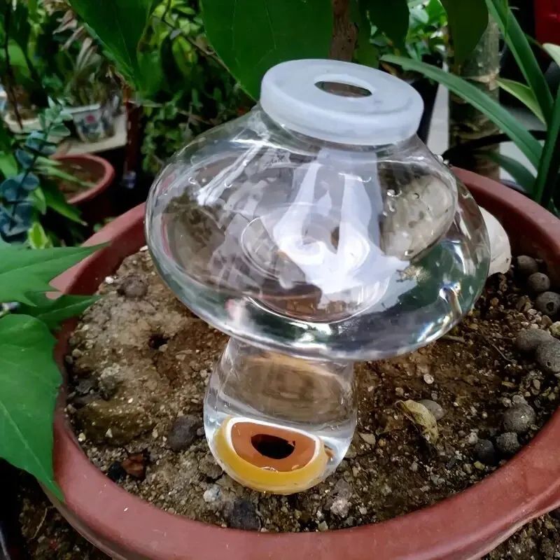 Different Shaped Automatic Plant Waterer