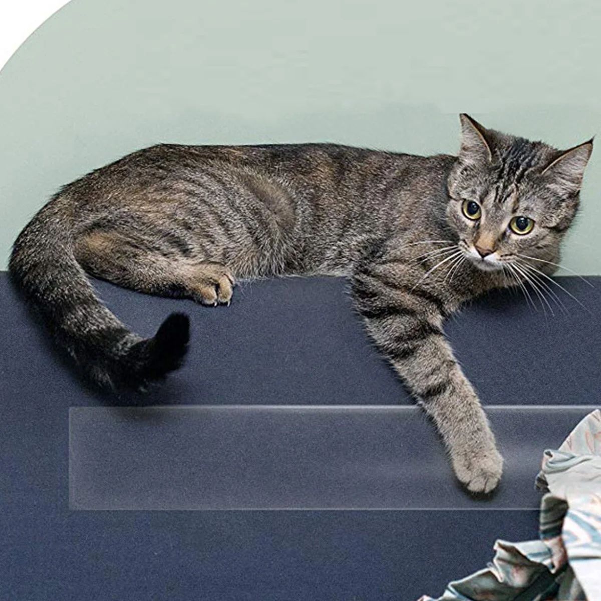 Transparent Cat Scratch Furniture Protector Tape – 300cm Pet Sofa Anti-Scratch Film