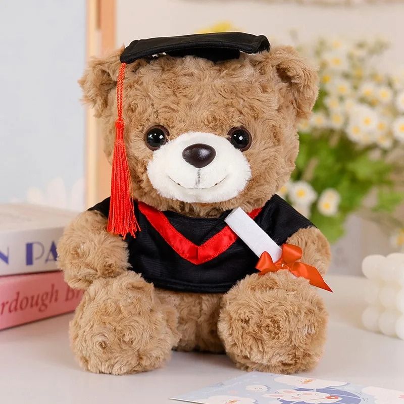Dr Bear 25cm Graduation Plush Toy