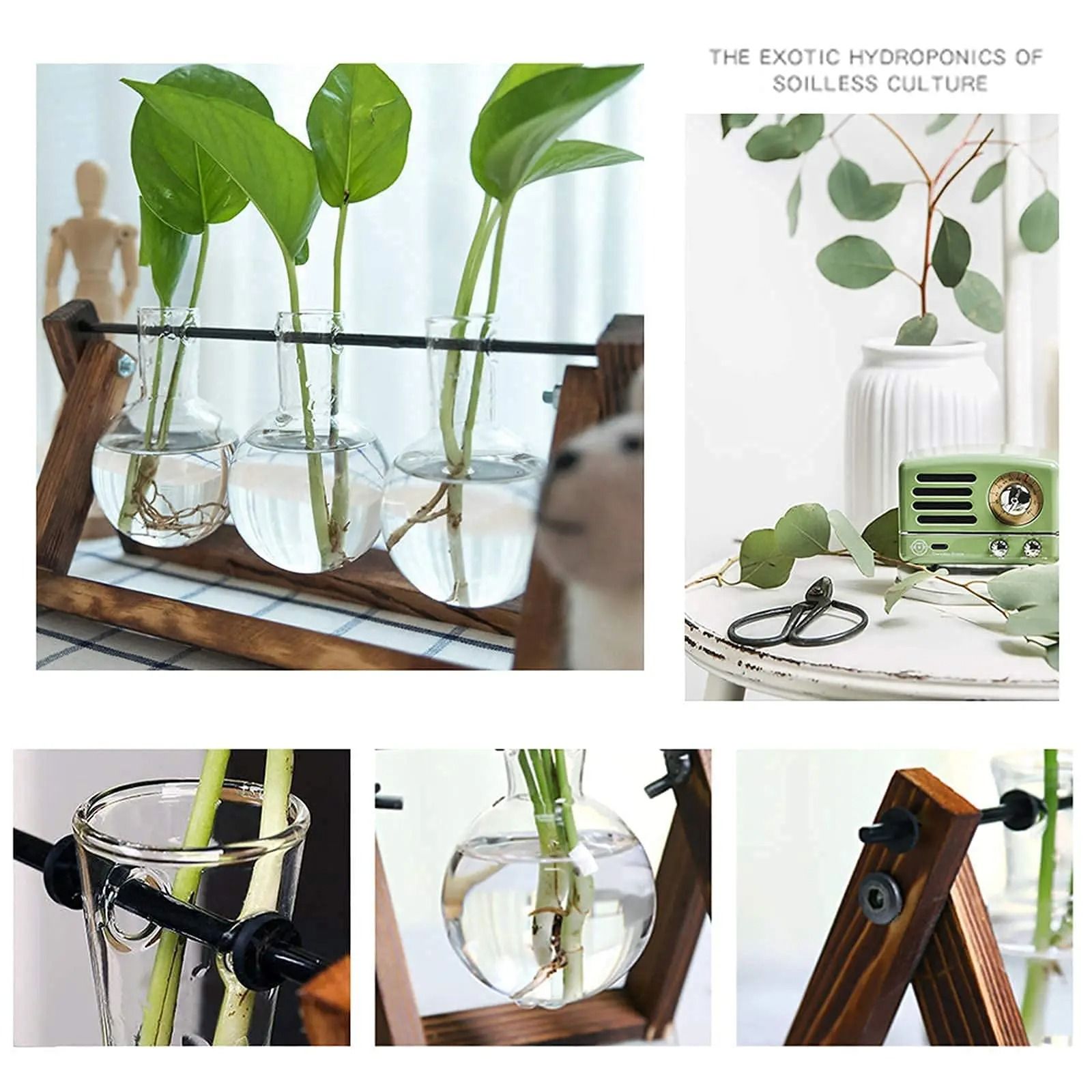Hydroponic Plant Vase with Wooden Stand