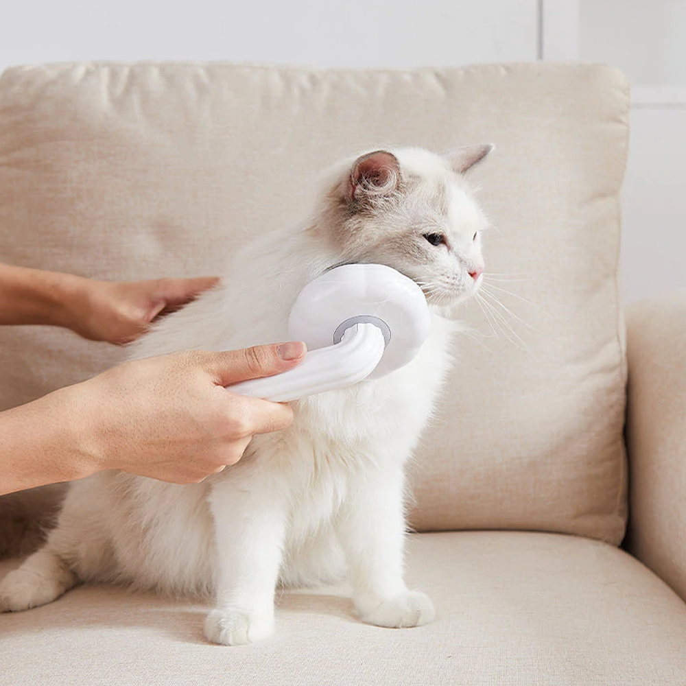 Pumpkin Pop Pet Brush