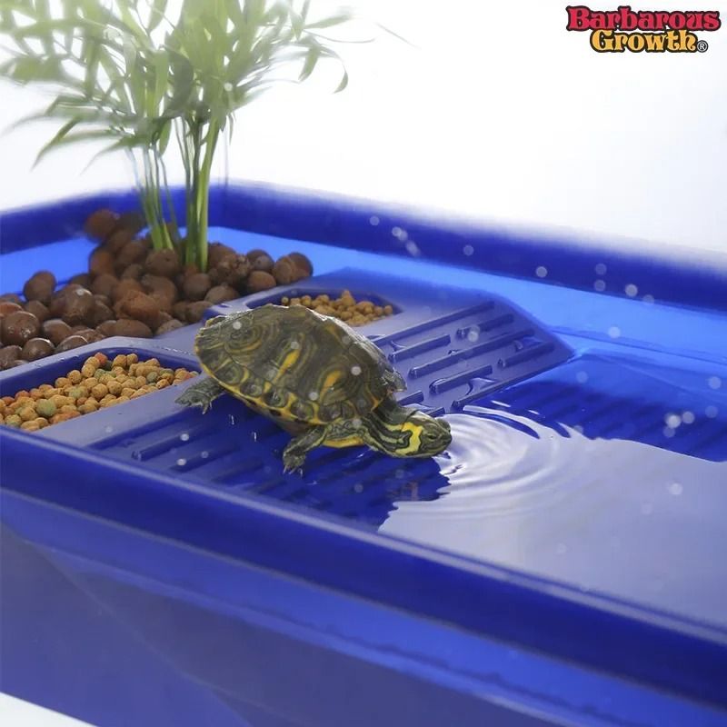 Transparency Turtle Tank House with Basking and Breeding Areas Reptile Habitat