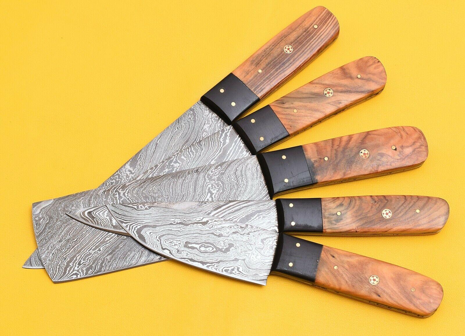 5-Piece Damascus Steel Kitchen Chef Knives with Popular Handles
