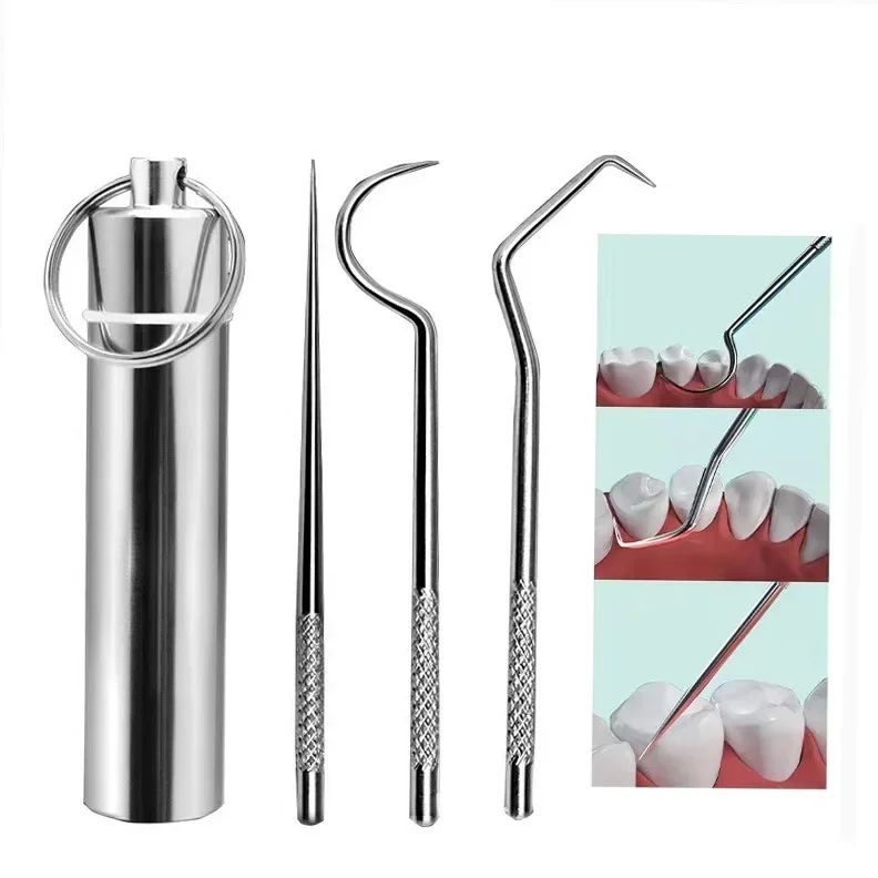 Stainless Steel Reusable Toothpick Set