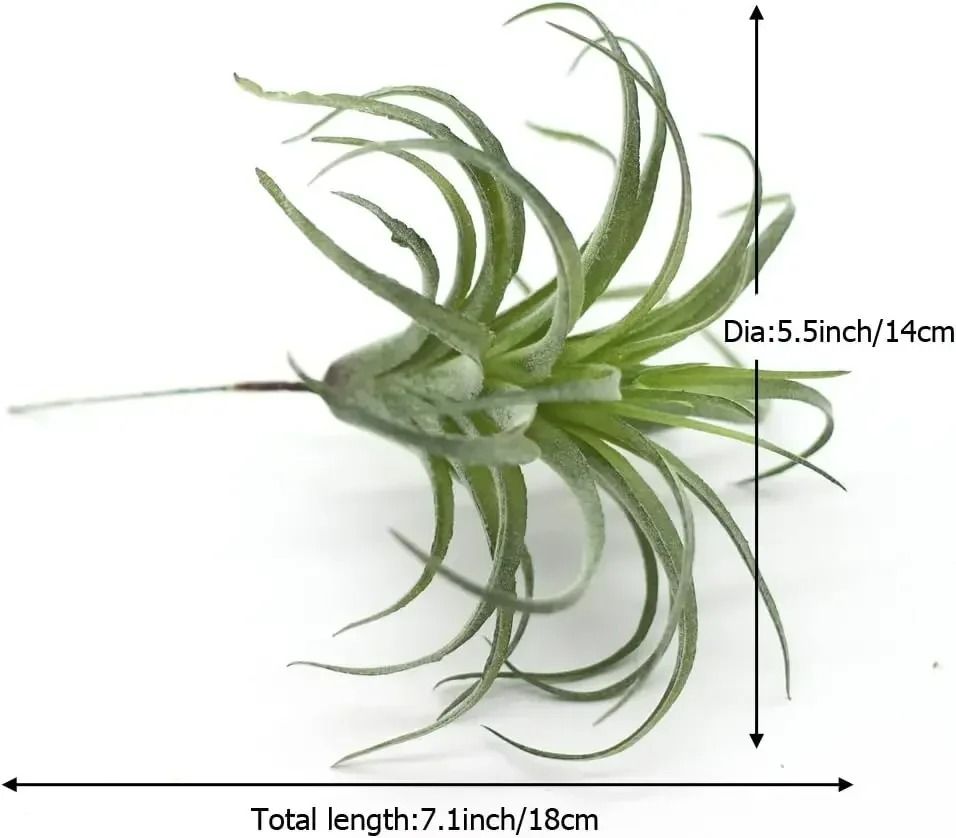 Artificial Flocking Tillandsia Air Plants – High-Performance 2-Piece Faux Succulent & Bromeliad Set