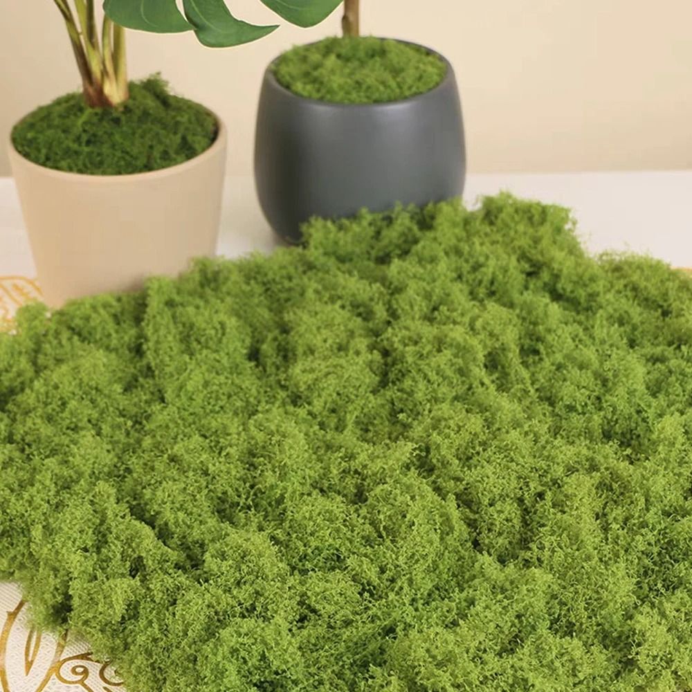 Botanical Architectural Eternal Life Simulated Moss