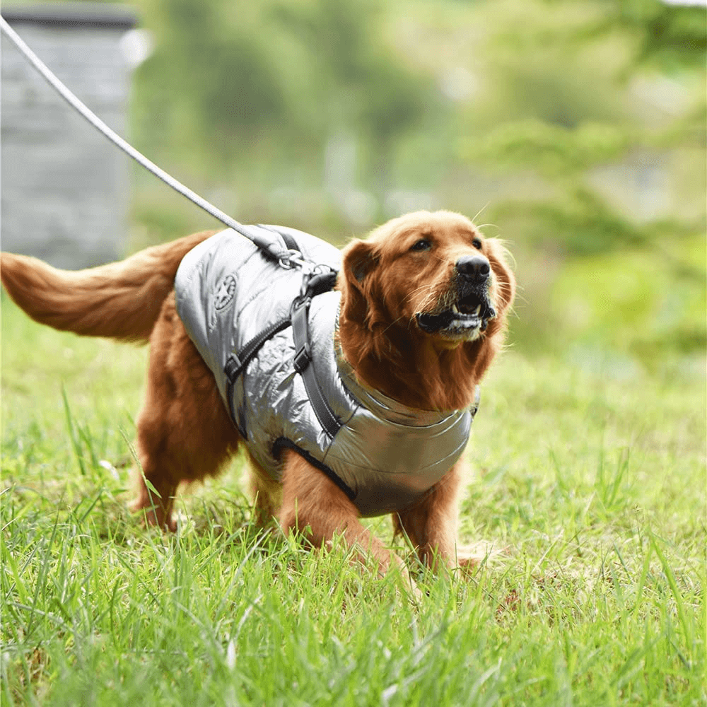 Dog Coat With Zipper on Back