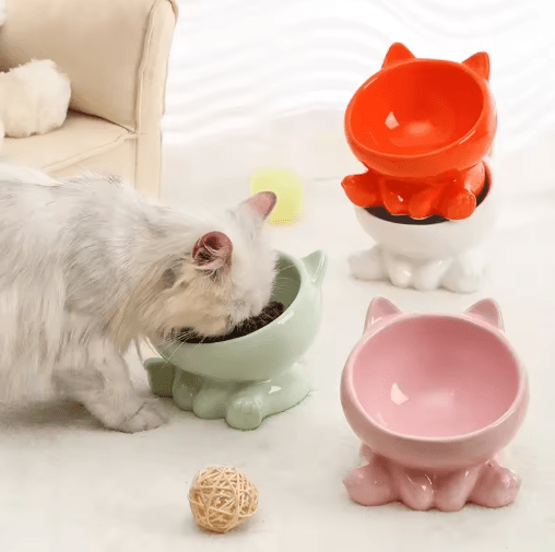 Elevated Tilted Ceramic Cat Bowl – Cute Ergonomic Food & Water Dish
