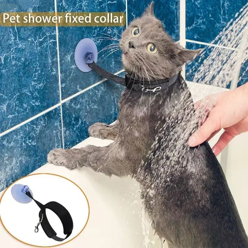 Suction Cup Pet Bathing Tether with Adjustable Collar for Easier Grooming