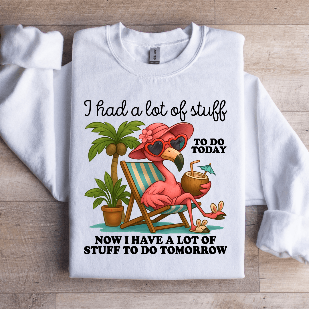 I Had A Lot Of Stuff To Do Today Sweatshirt