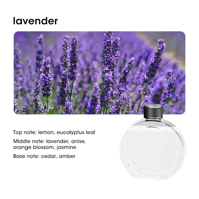 Mini Aromatherapy Air Purifying Diffuser – Wall-Mounted Fragrance Humidifier with Hilton Lavender Oil
