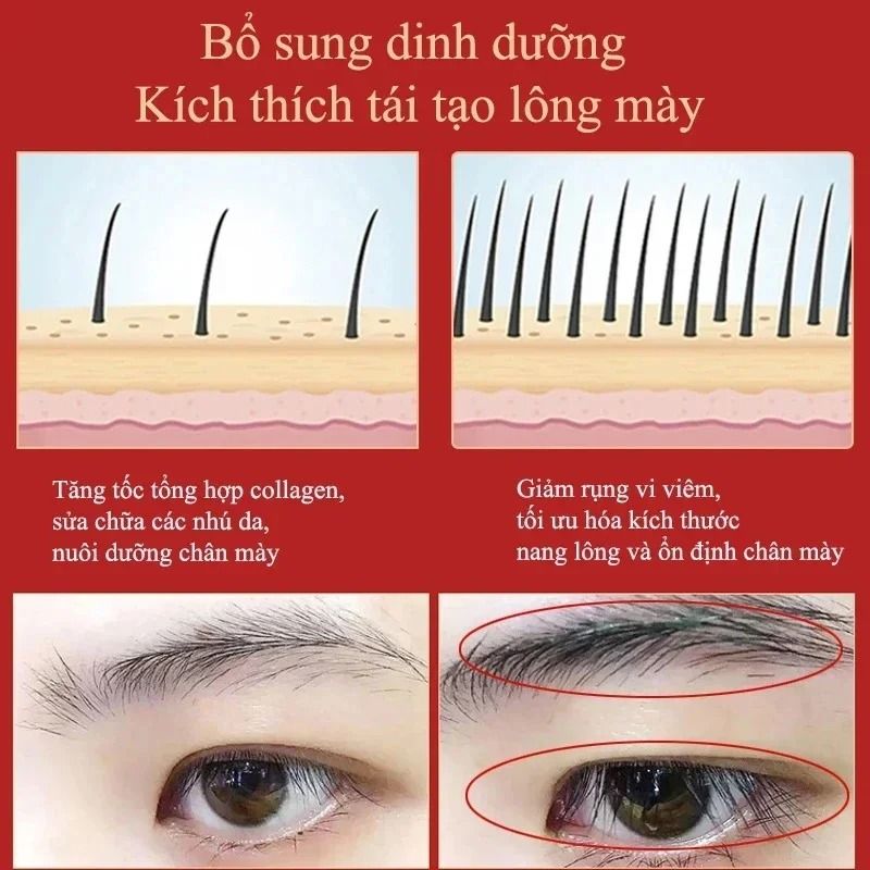 Eyebrow Growth Serum Eyelash Enhancer Hair Loss Prevention Treatment
