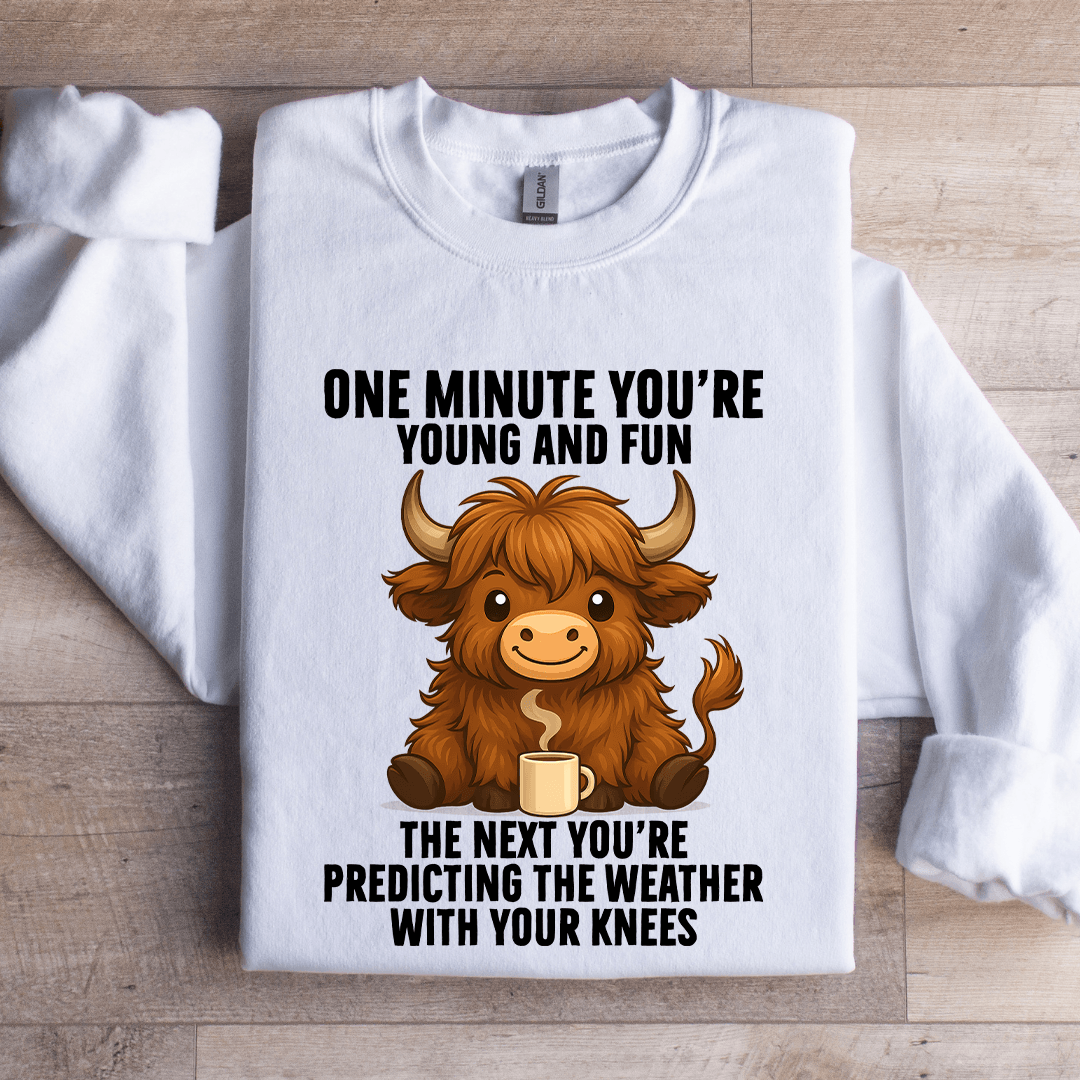 One Minute You're Young And Fun Sweatshirt