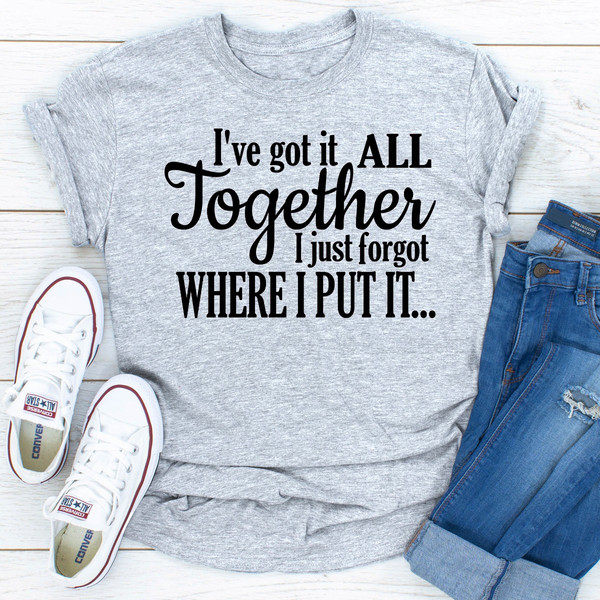 I've Got It All Together I Just Forgot Where I Put It