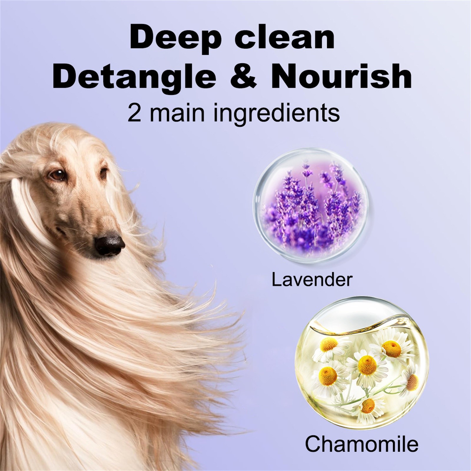 Dog Shampoo 4 In 1 Lavender Chamomile Pet Wash, Cleanses, Conditions, Smoothes, Moisturizes, Gentle Pet Care 300ml