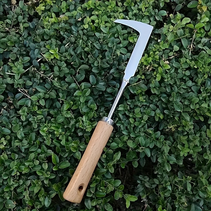Stainless Steel Weeding Tool 1pc, For Digging Herbs, Wild Vegetables, Bonsai, Soil Loosening, Ideal Holiday Gift
