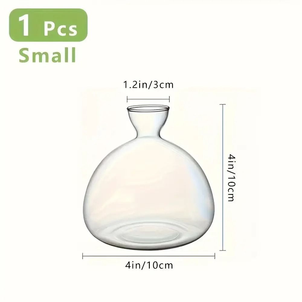 Avocado Seed Starter Glass Bulb Vase