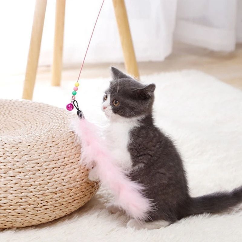 Cat Teaser Wand With Bell Feather And Suction Cup Long Interactive Stick