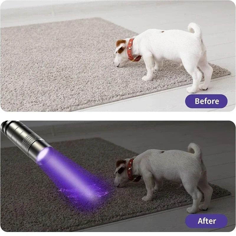 Portable 395nm UV Flashlight with Pocket Clip