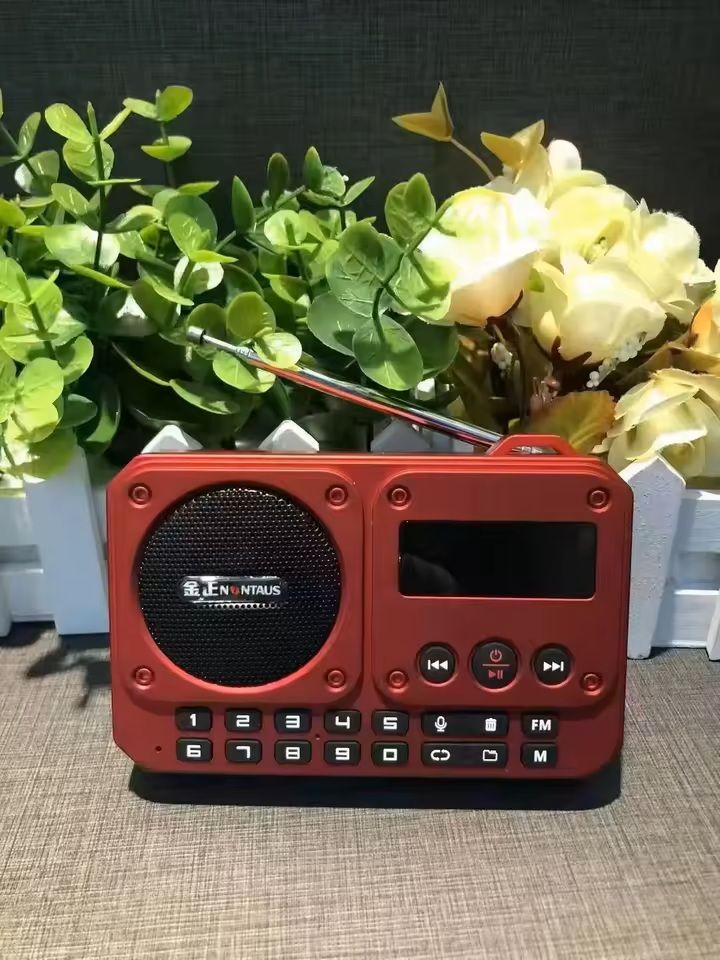 Mini FM Radio with Bluetooth Speaker and LED Display