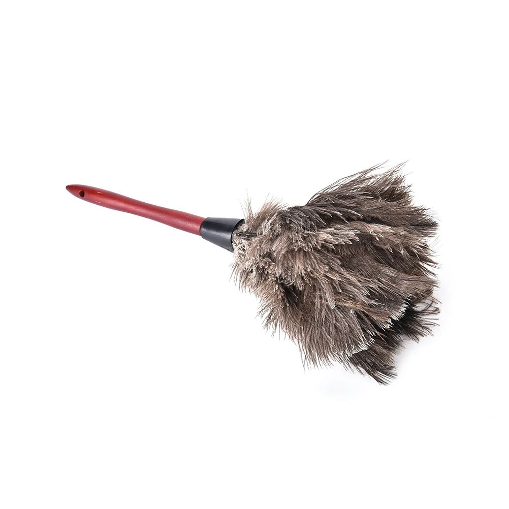 Ostrich Feather Duster with Wooden Handle 55cm